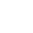 Bridge vector